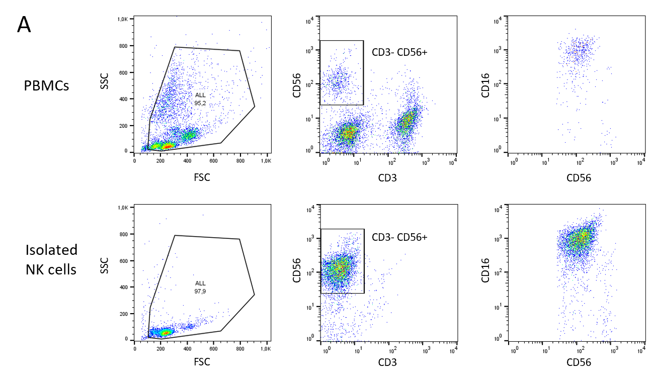 Nk Cell Killing Assays Reaction Biology